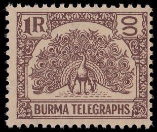 Stamp, Peacock, Burma,  , Animals (Fauna), Birds, Peacocks