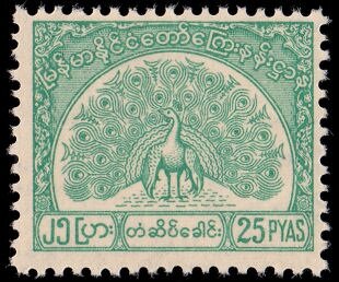 Peacock