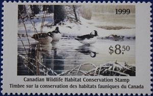 Stamp, Bufflehead ducks, Canada,  , Animals (Fauna), Birds, Ducks