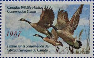 Stamp, Canada geese, Canada,  , Animals (Fauna), Birds, Geese