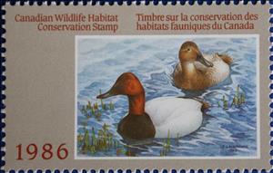 Stamp, Canvasbacks, Canada,  , Animals (Fauna), Birds, Ducks