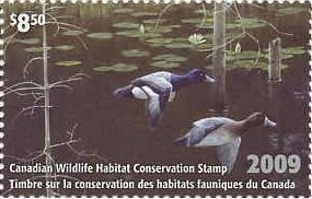 Stamp, Lesser scaup, Canada,  , Animals (Fauna), Birds, Ducks