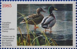 Stamp, Mallards, Canada,  , Animals (Fauna), Birds, Ducks