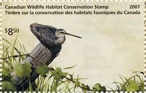 Stamp, Wilson's snipe duck, Canada,  , Animals (Fauna), Birds, Ducks
