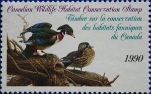 Stamp, Wood ducks, Canada,  , Animals (Fauna), Birds, Ducks