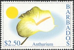 Stamp, Anthurium, Barbados,  