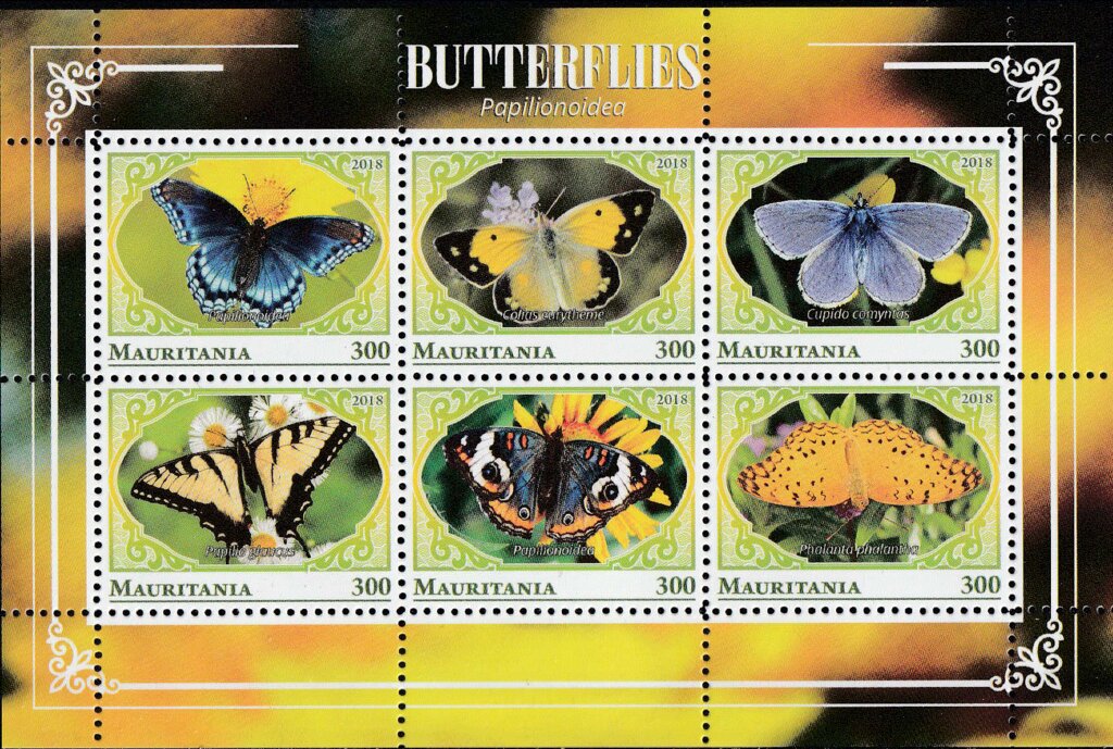 Butterflies