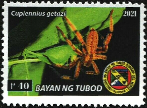 Insects