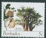 Baobab