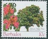 African tulip tree