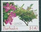 Orchid tree