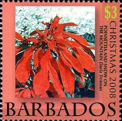 Poinsettia and Snow on the Mountain by D. Trotman