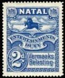 Black and blue wildebeest