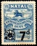 Black and blue wildebeest