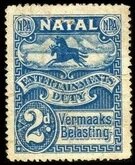 Black and blue wildebeest