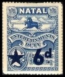 Black and blue wildebeest