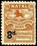 Black and blue wildebeest