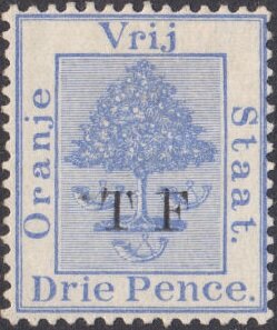 Orange tree