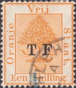 Orange tree