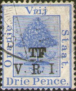 Orange tree