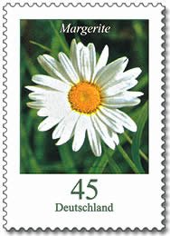 Marguerite