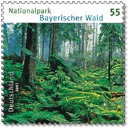 Bavarian Forest national park