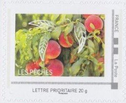 Peaches. Peches