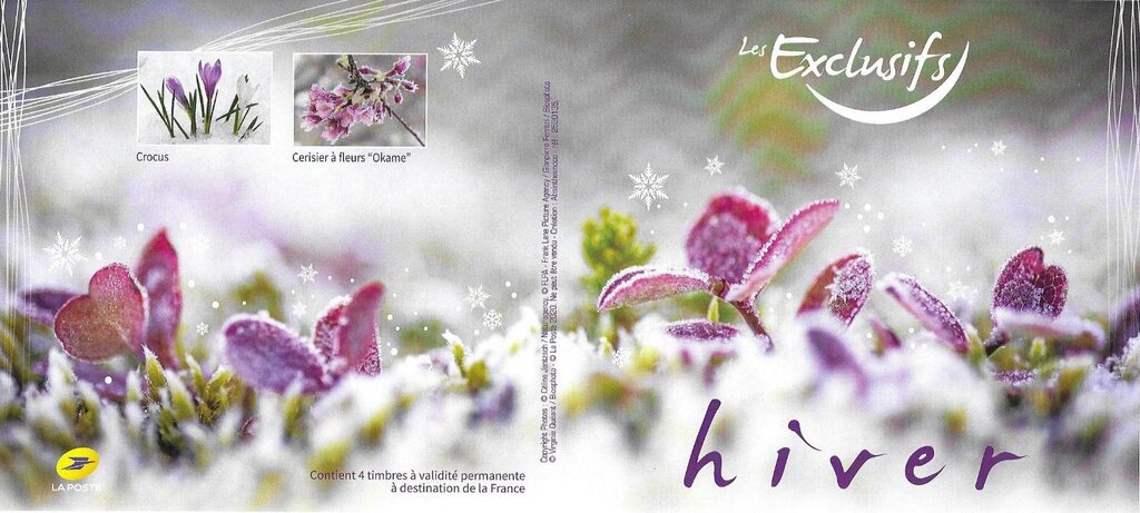 Winter Les Exclusifs. Hiver. Crocuses, Cherry Blossom