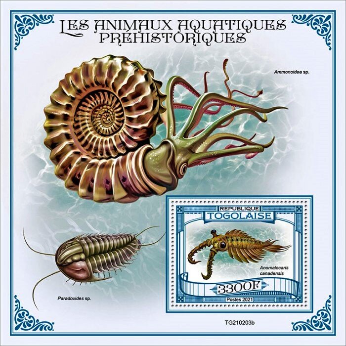 Anomalocaris canadensis