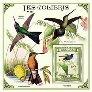 Souvenir Sheet, Boissonneaua jardini, Togo,  , Birds, Hummingbirds