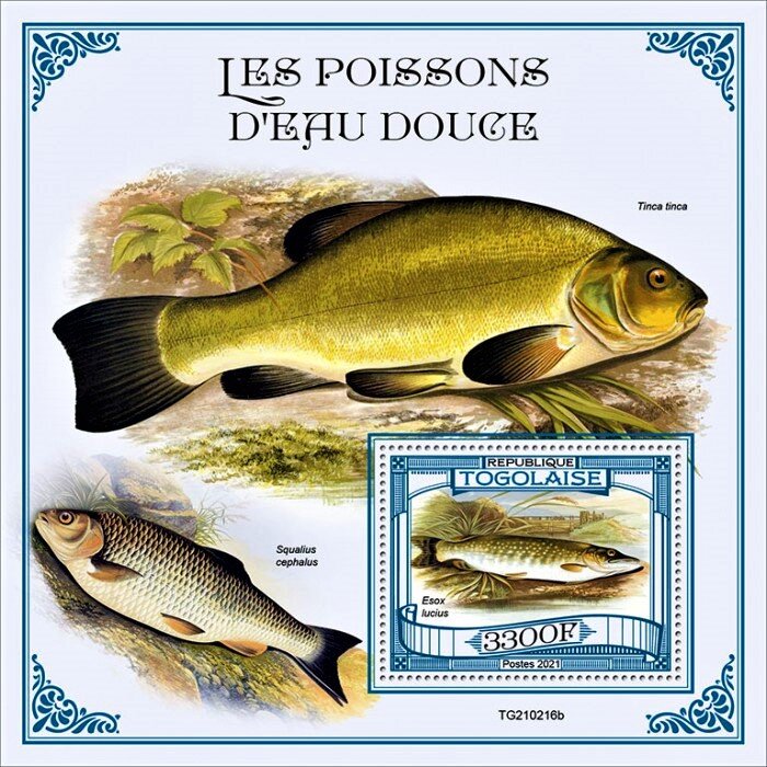Esox lucius