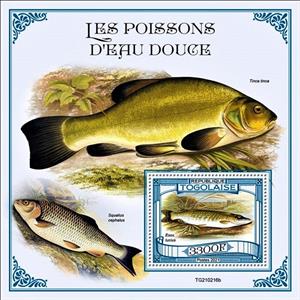 Souvenir Sheet, Esox lucius, Togo,  , Fishes, Sea Life