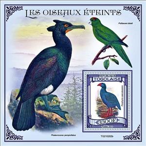 Souvenir Sheet, Porphyrio caerulescens, Togo,  , Birds