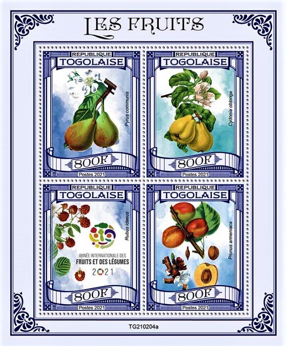 The International Year of Fruits and Vegetables - 2021