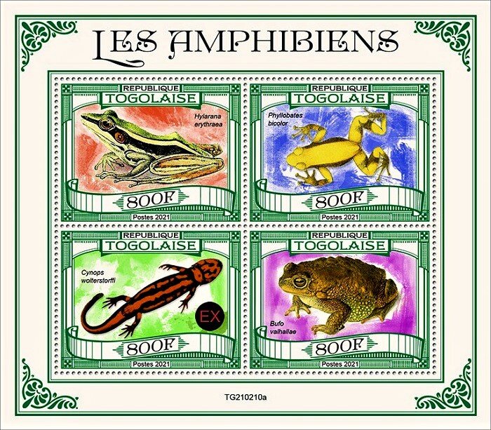 Various Amphibians