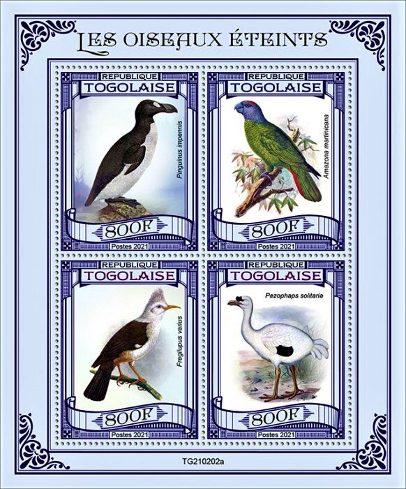 Various Birds