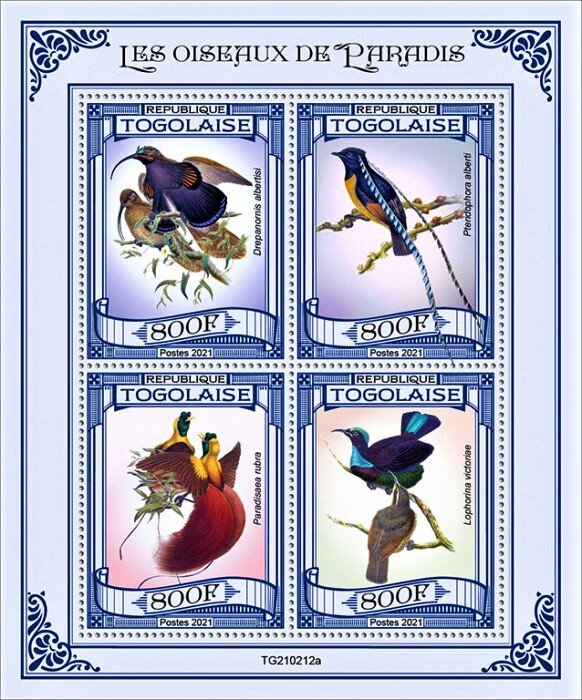 Various Birds