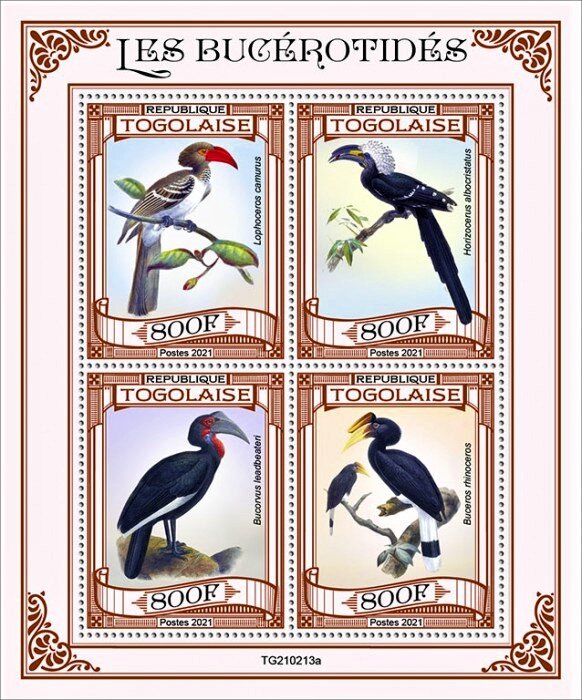 Various Birds