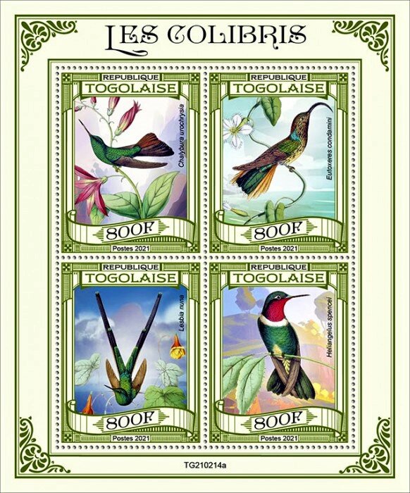 Various Birds