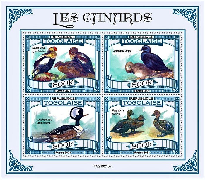 Various Ducks