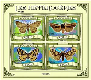 Mini Sheet, Various Moths, Togo,  , Insects