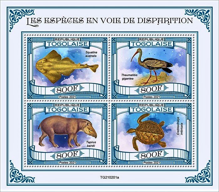 Various Species