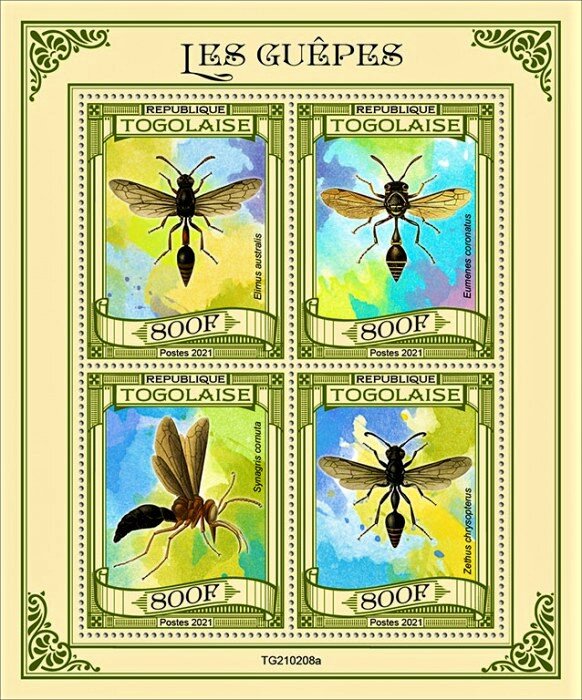 Various Wasps