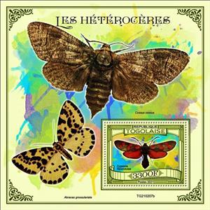 Souvenir Sheet, Zygaena filipendulae, Togo,  , Insects