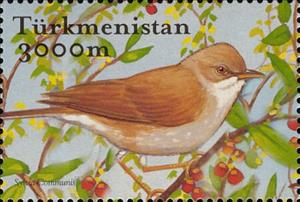 Stamp, Common Whitethroat (Sylvia communis), Turkmenistan,  , Animals (Fauna), Birds