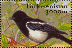 Stamp, Eurasian Magpie (Pica pica), Turkmenistan,  , Animals (Fauna), Birds