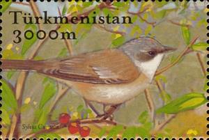Stamp, Lesser Whitethroat (Sylvia curruca), Turkmenistan,  , Animals (Fauna), Birds