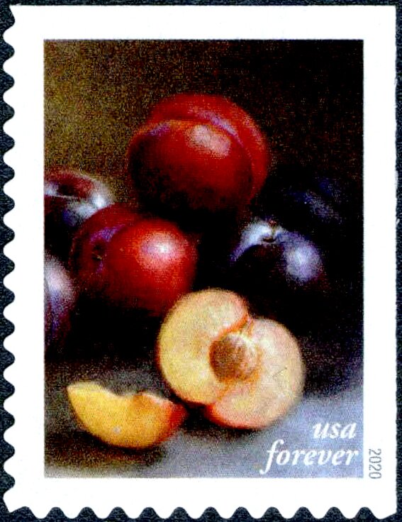 Plums