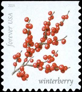 Stamp, Winterberry (Ilex verticillata), United States of America,  , Fruits, Plants (Flora)