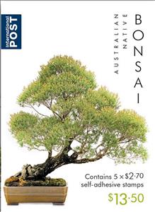 Booklet, Melaleuca linariifolia, Australia,  , Plants (Flora), Trees